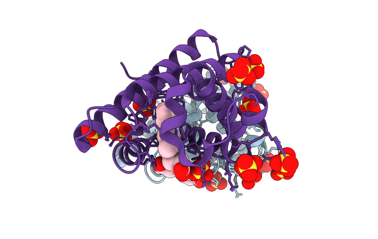 7DDU image