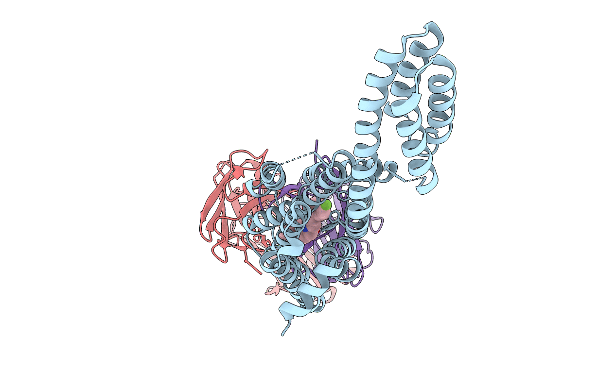 7DFP image