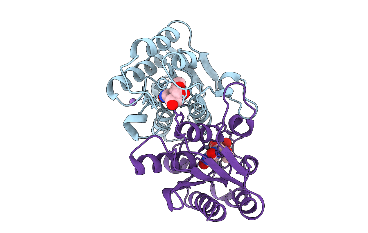 7DGC image