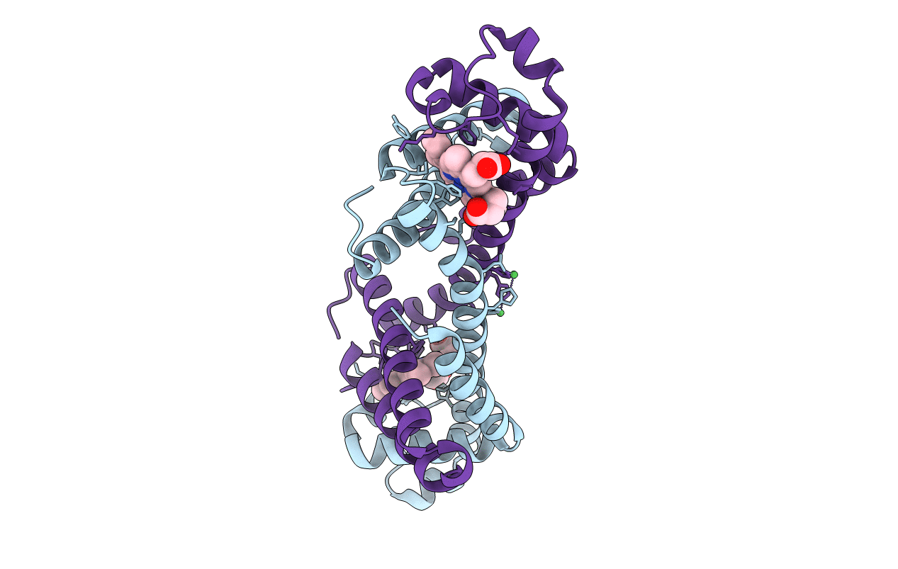 7DGL image