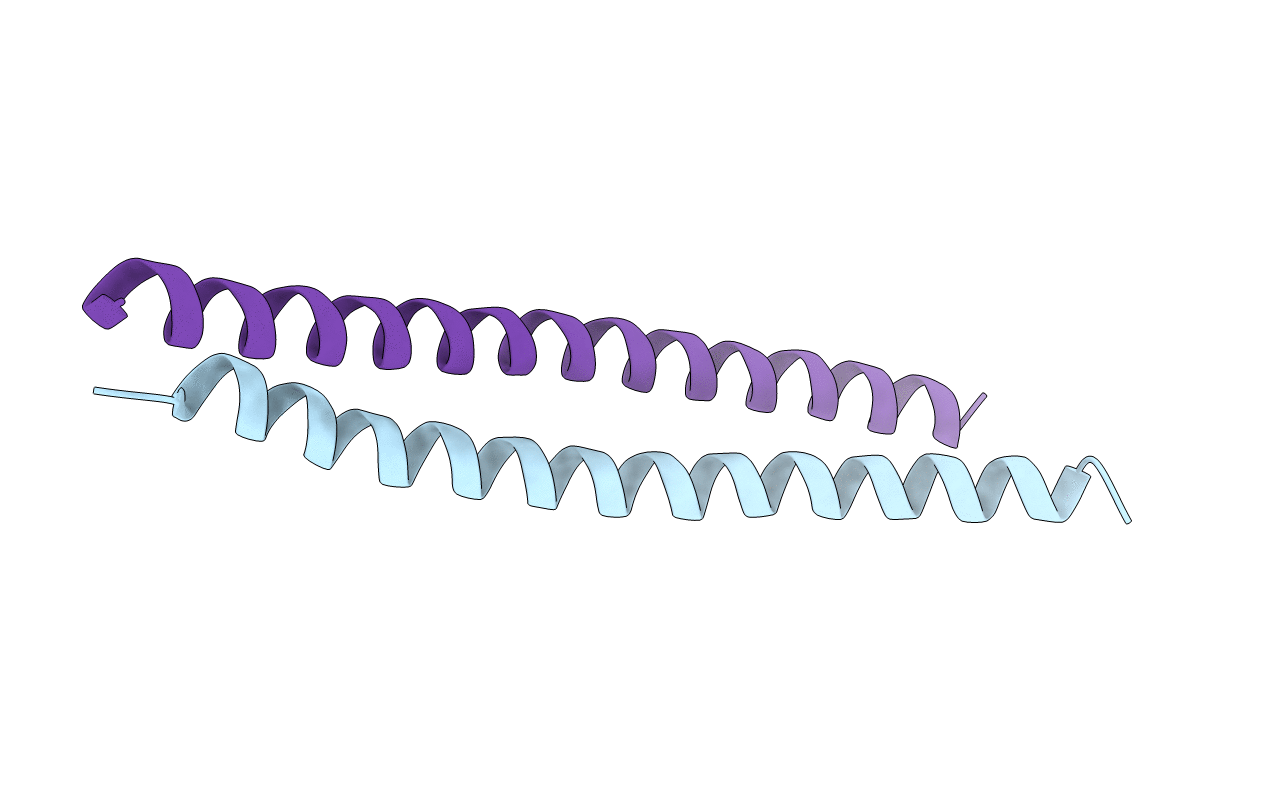 7DGX image