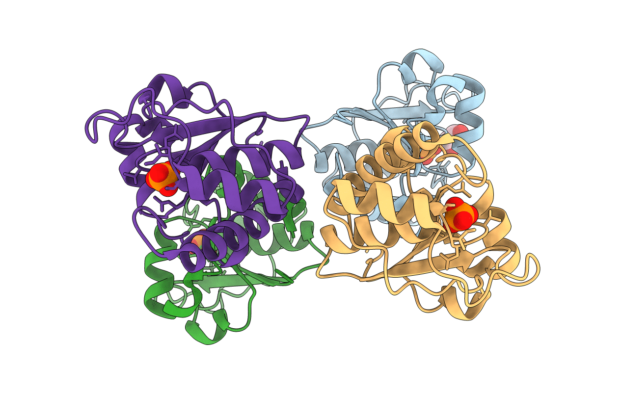 7DHF image