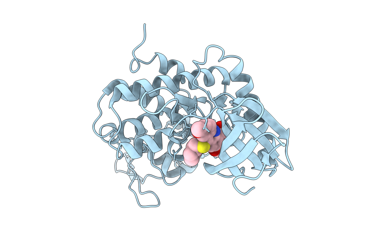 7DHV image