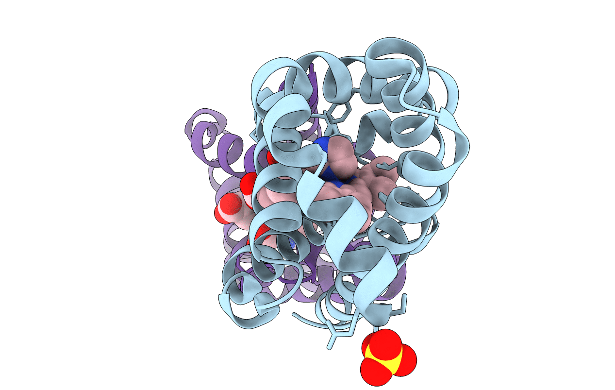 7DIH image