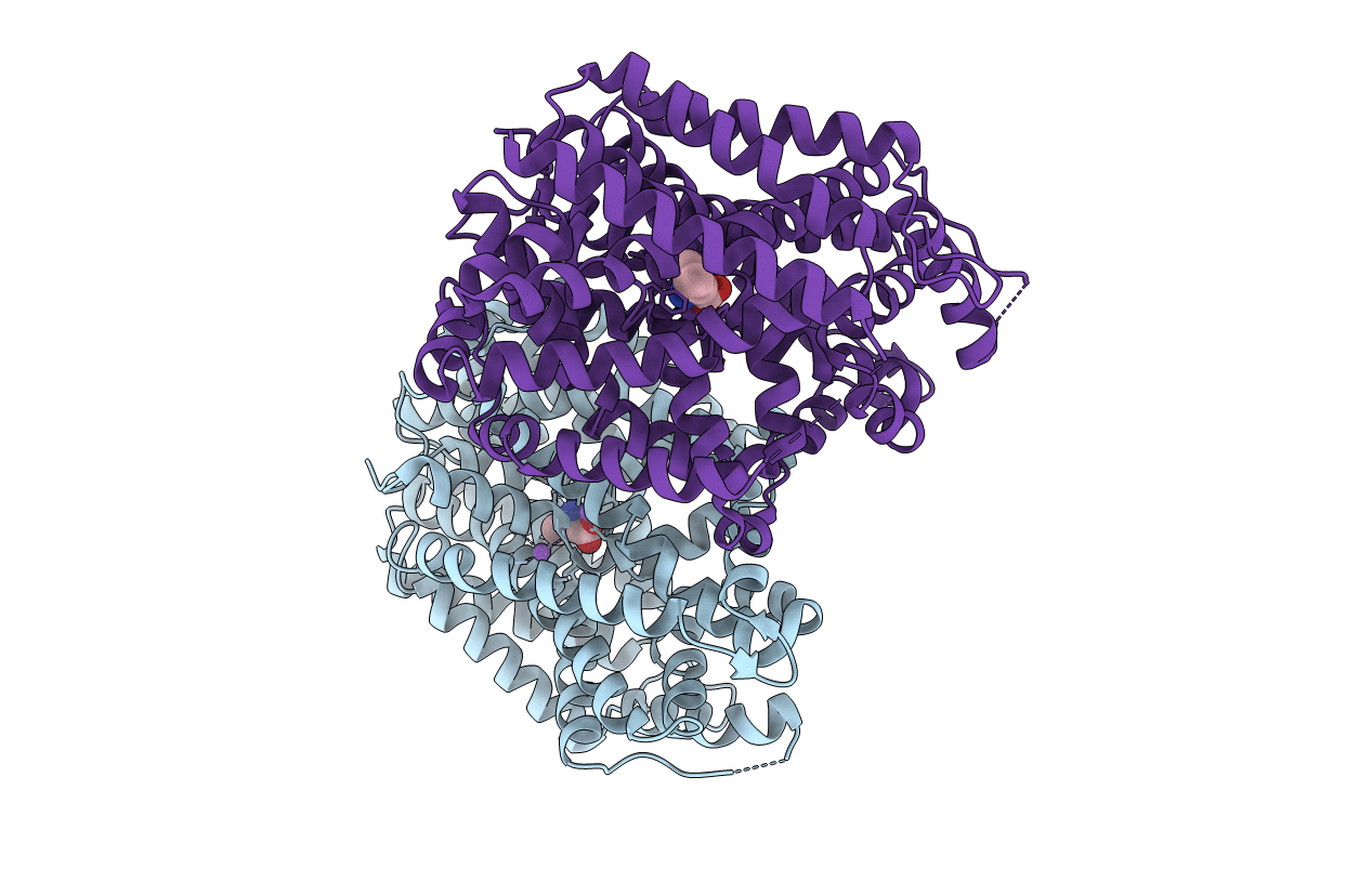 7DII image