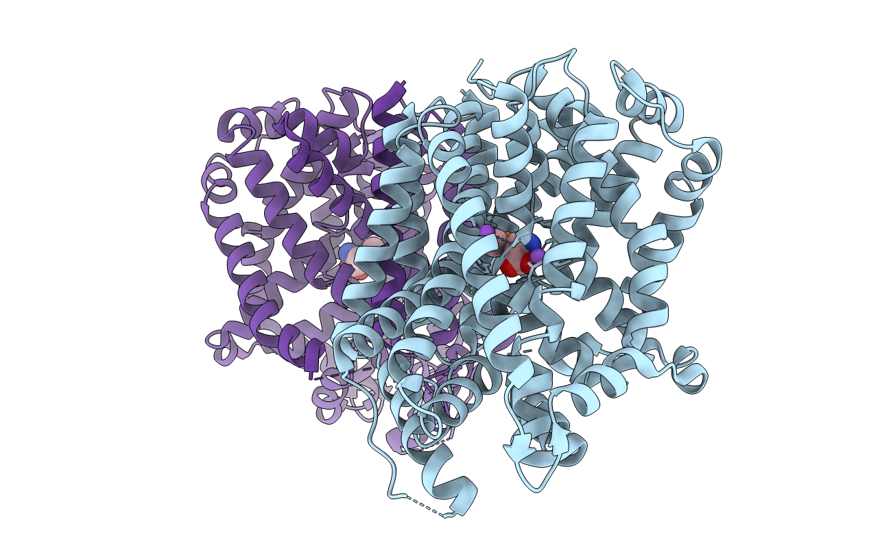 7DIX image
