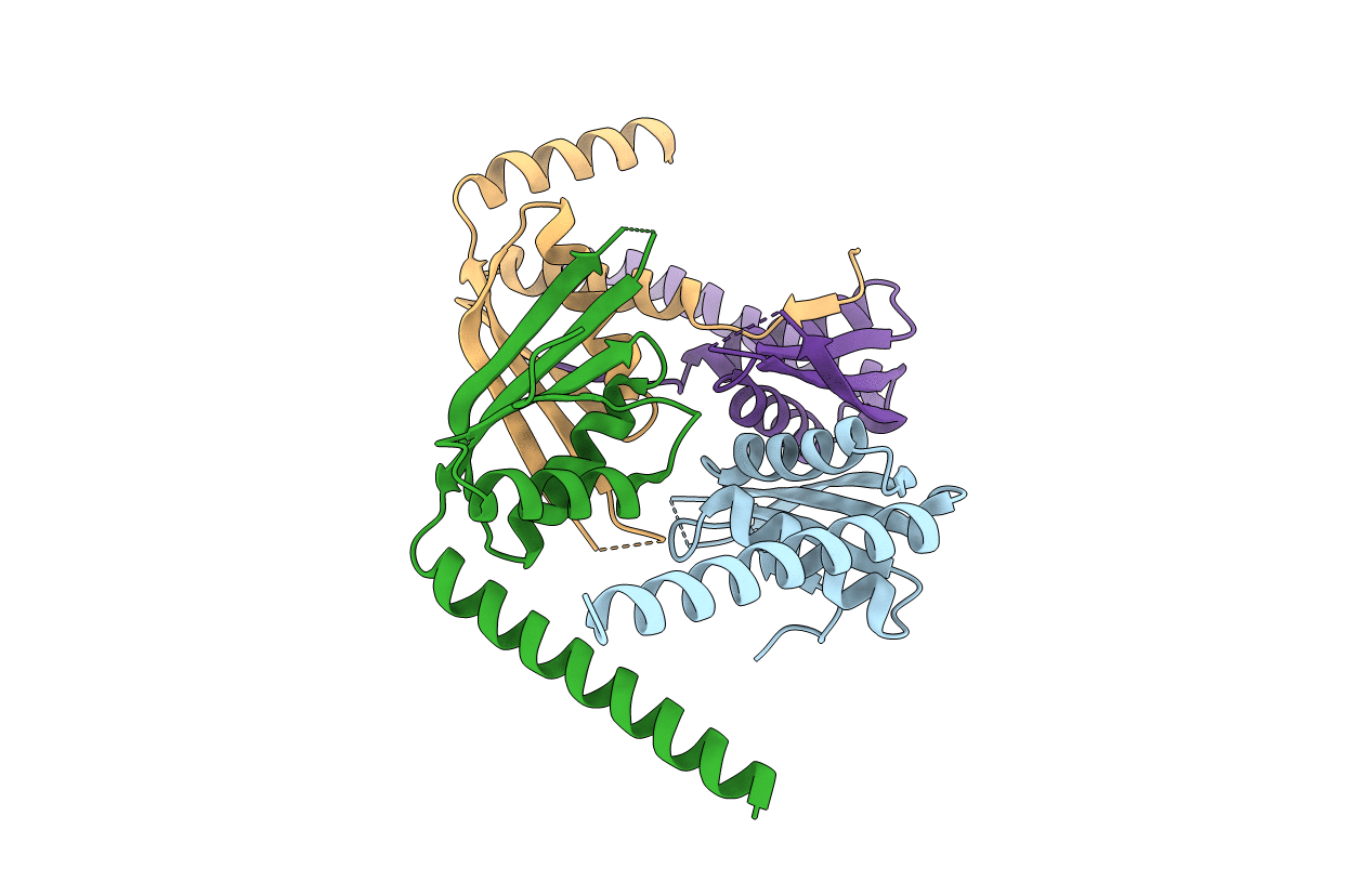 7DL8 image
