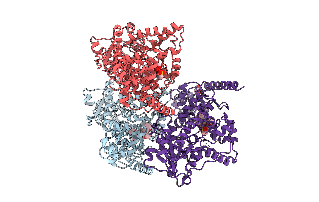 7DLI image