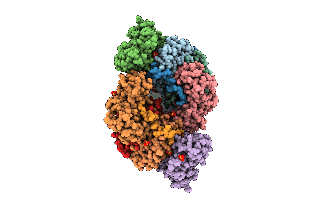 7DLV image