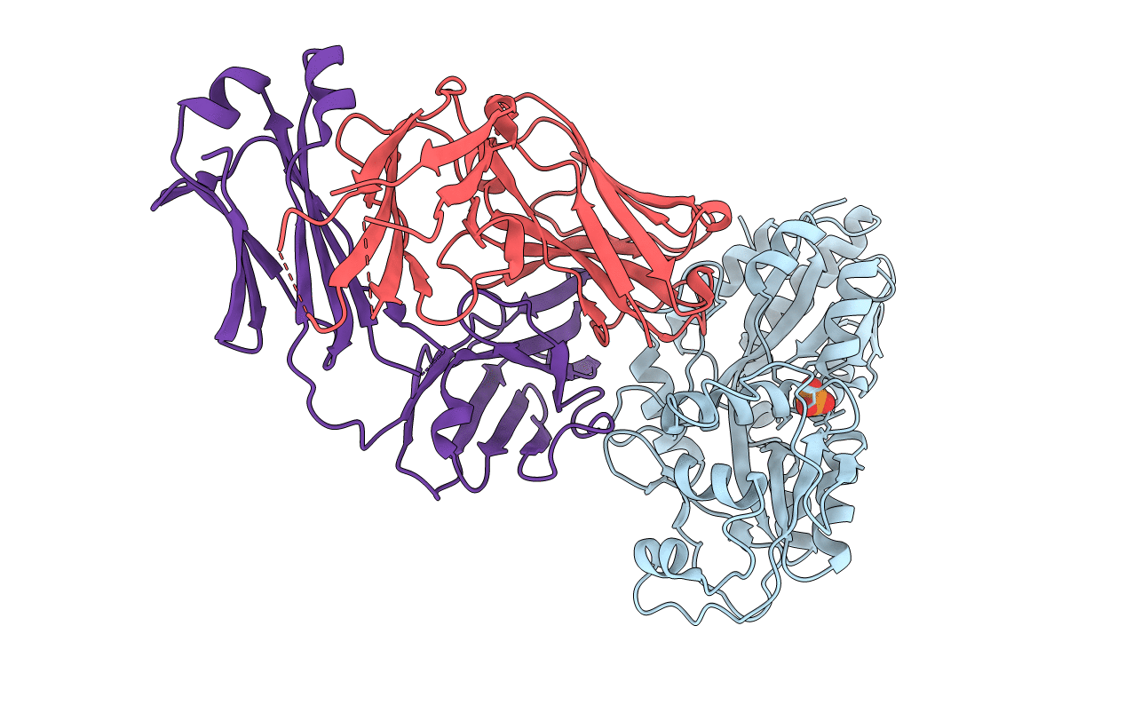 7DM2 image