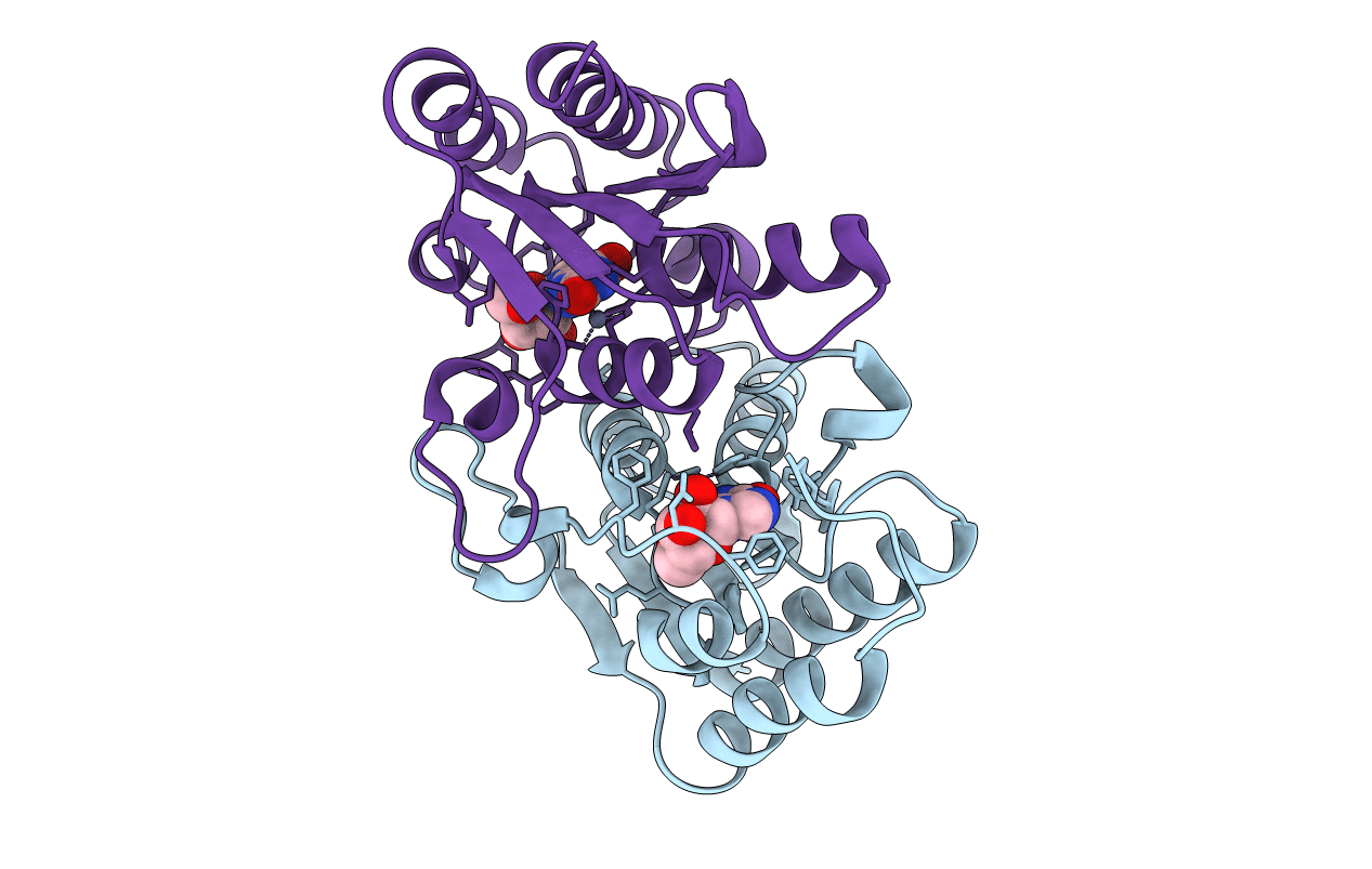 7DM5 image