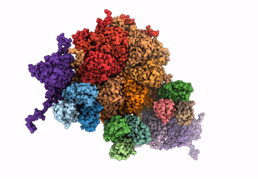 7DN2 image