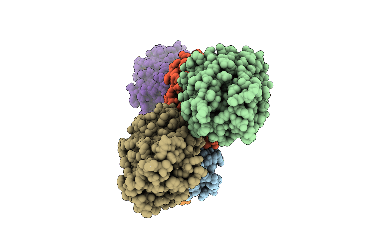 7DNA image