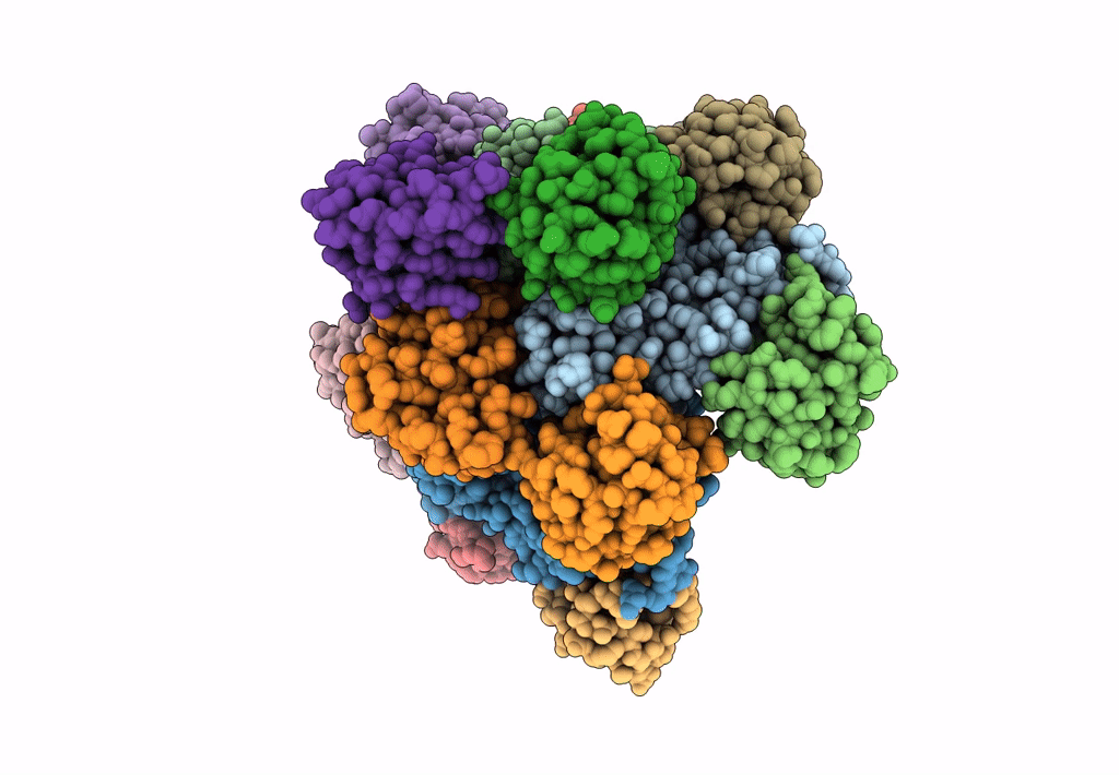 7DNI image