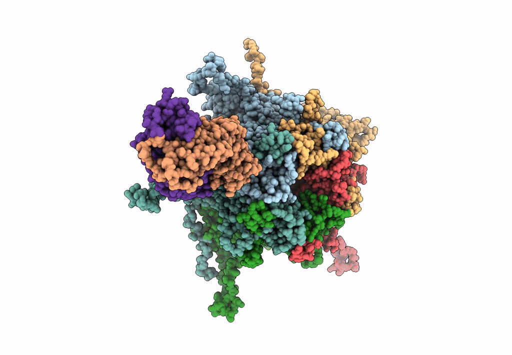 7DNL image