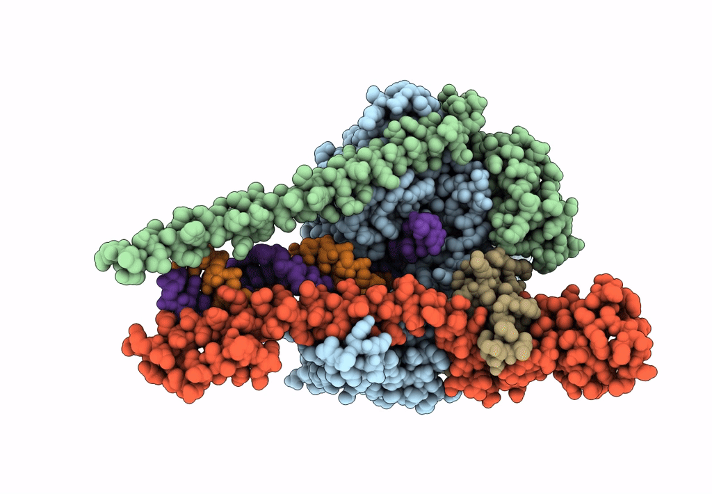 7DOK image