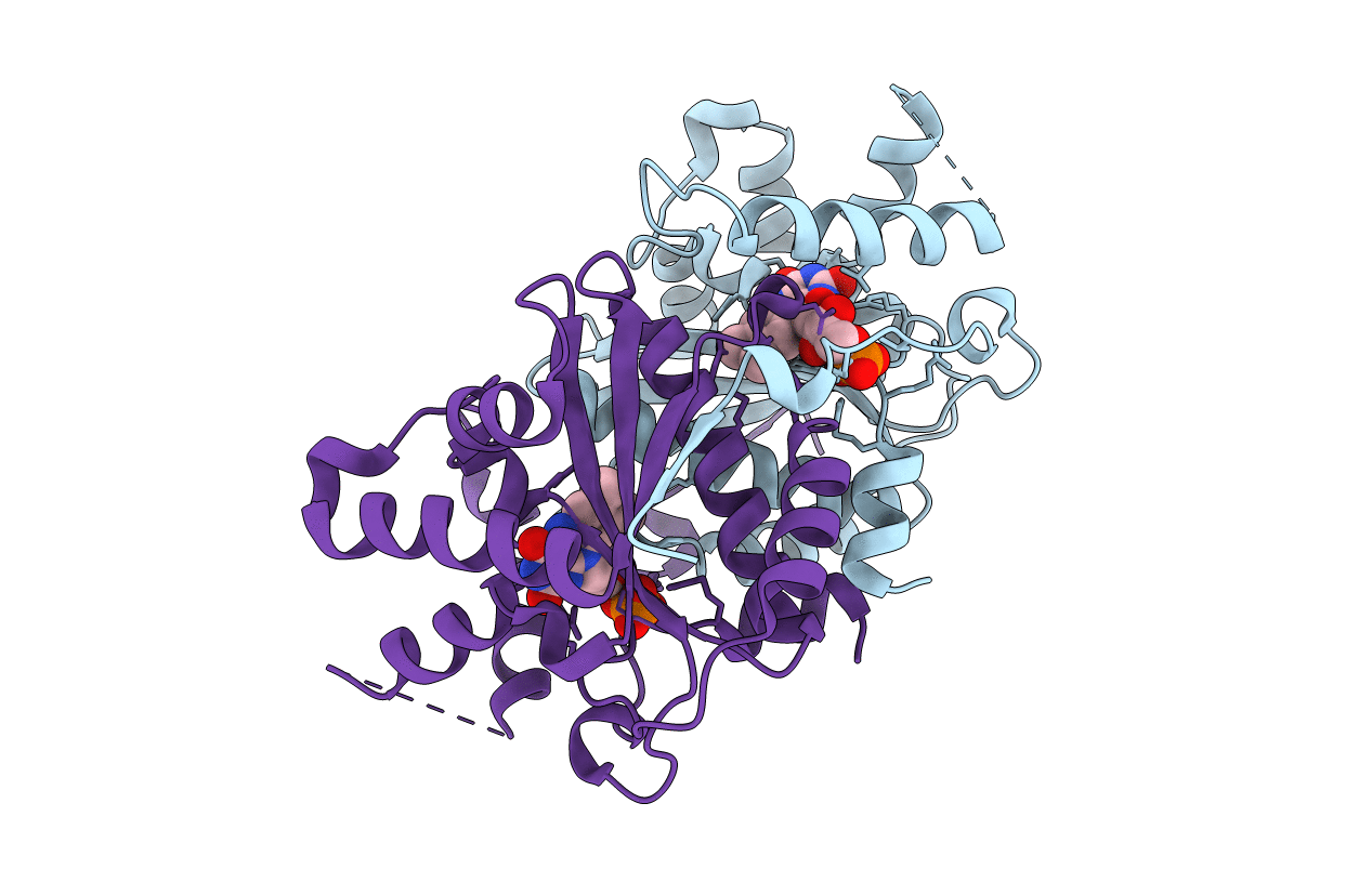 7DP1 image