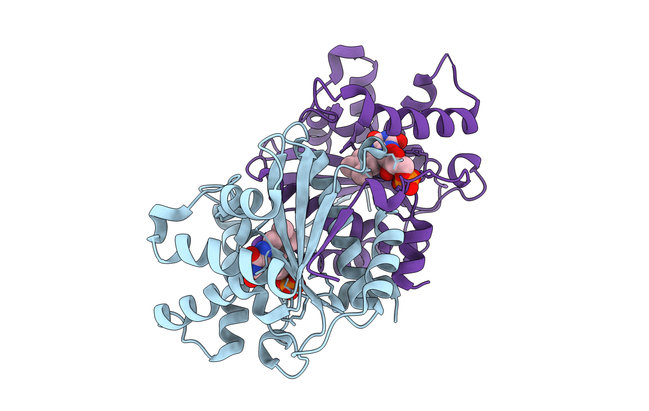 7DP2 image