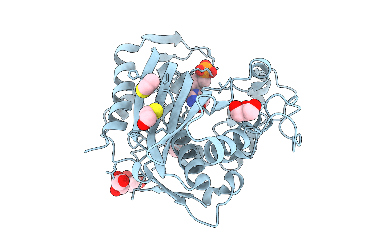 7DP6 image