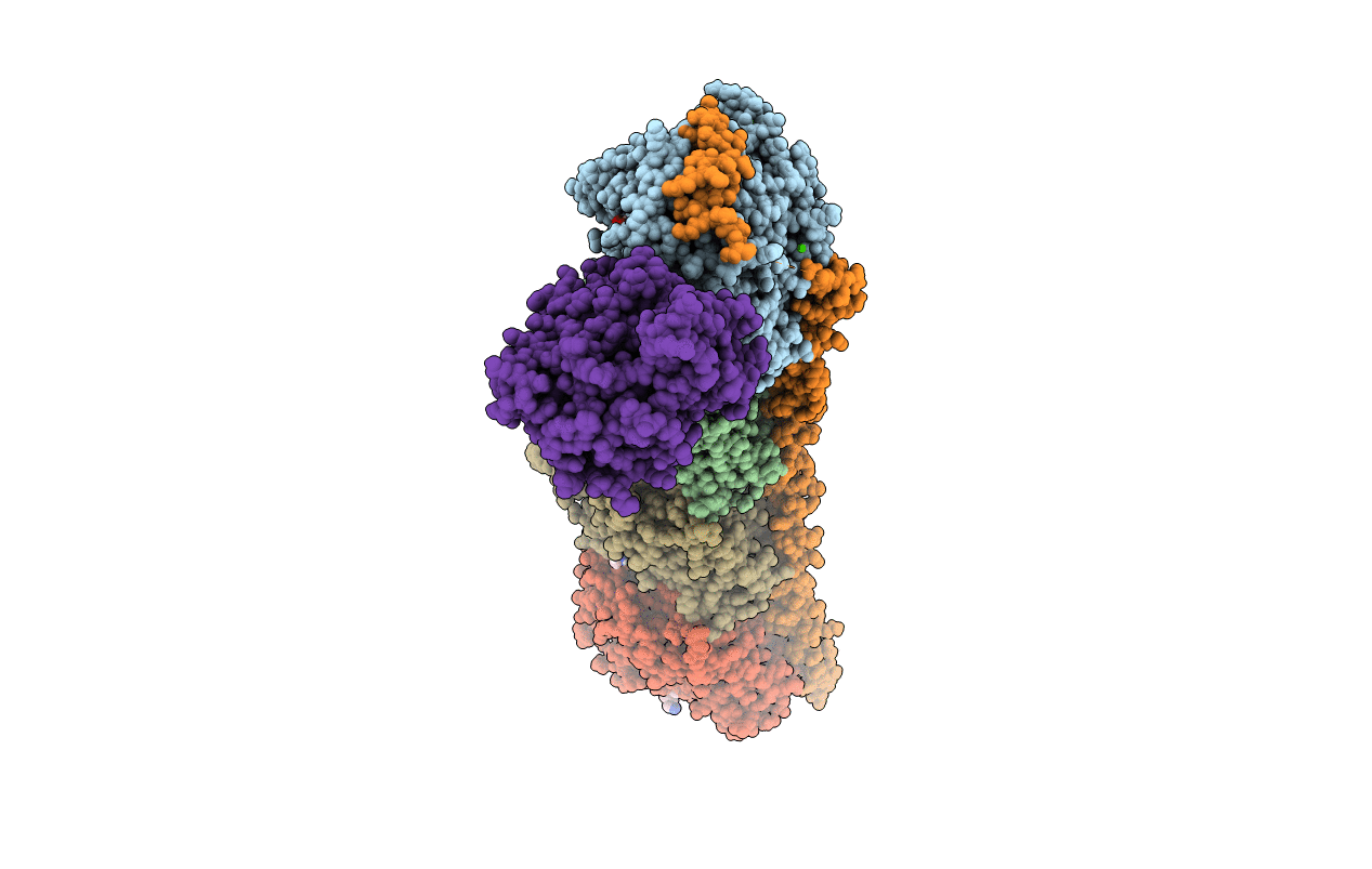 7DP8 image