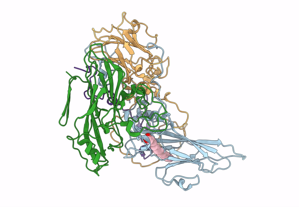 7DPF image