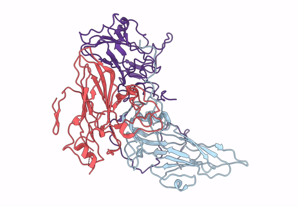 7DPG image
