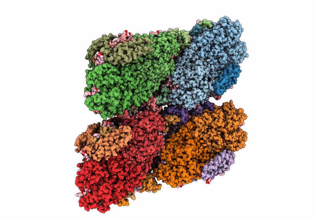 7DR2 image