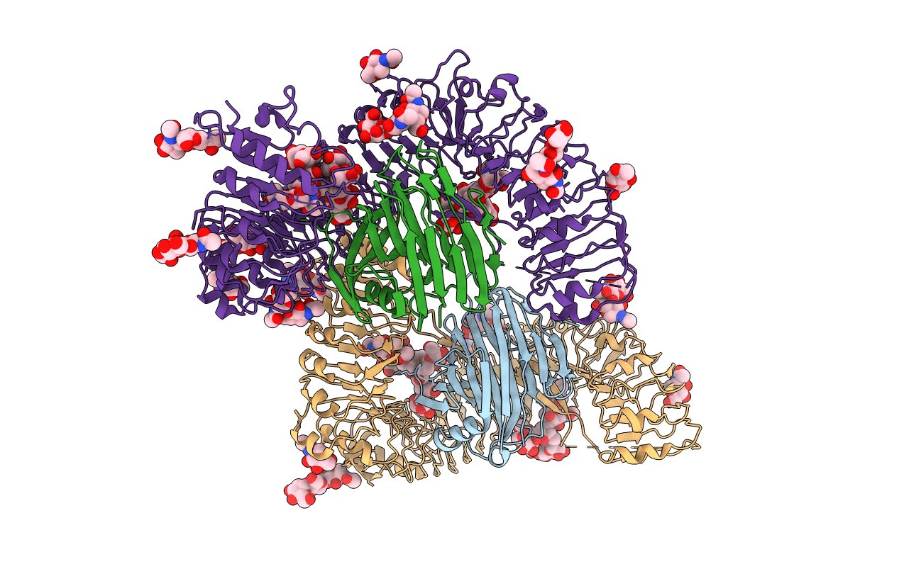 7DRB image