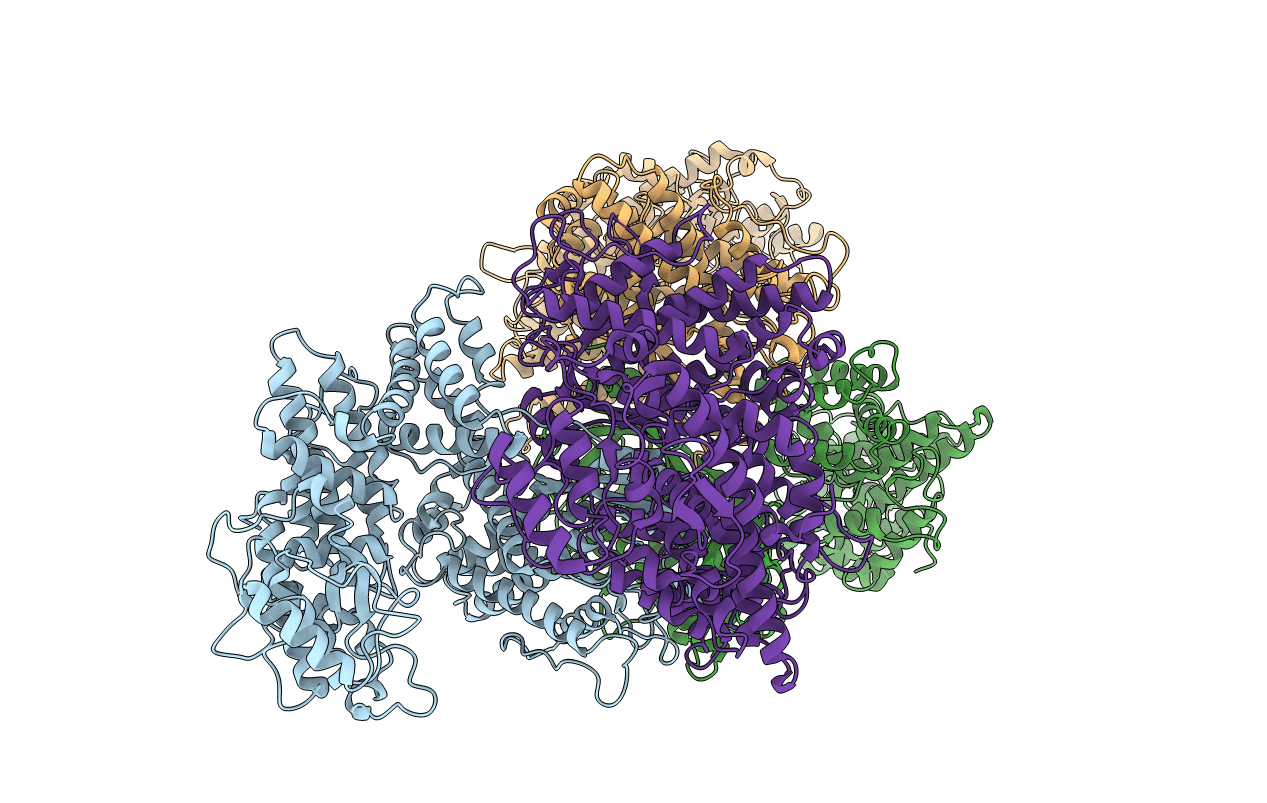 7DRS image
