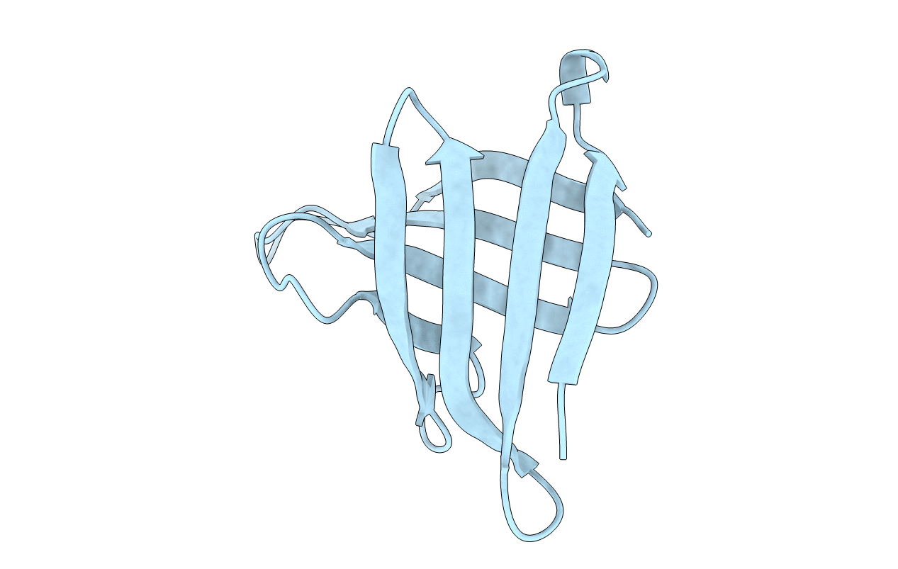 7DSG image