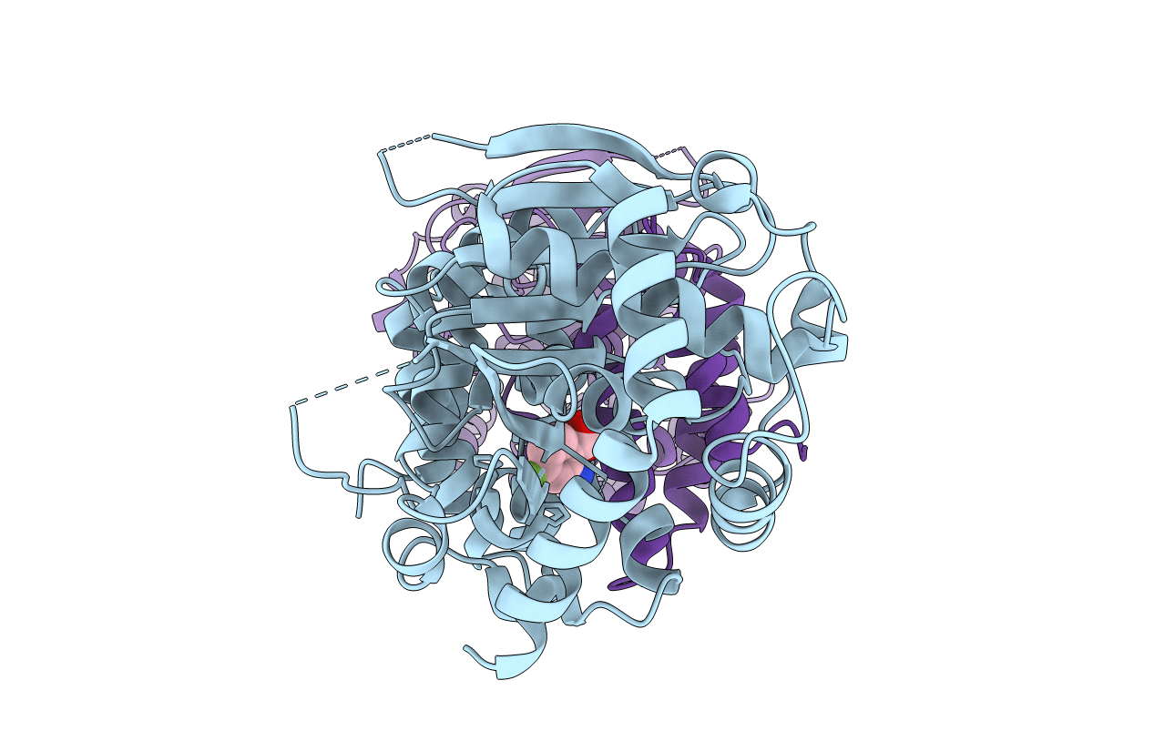 7DSO image