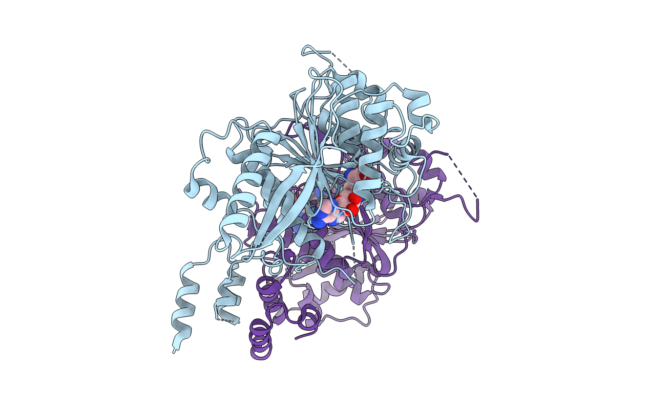 7DSU image
