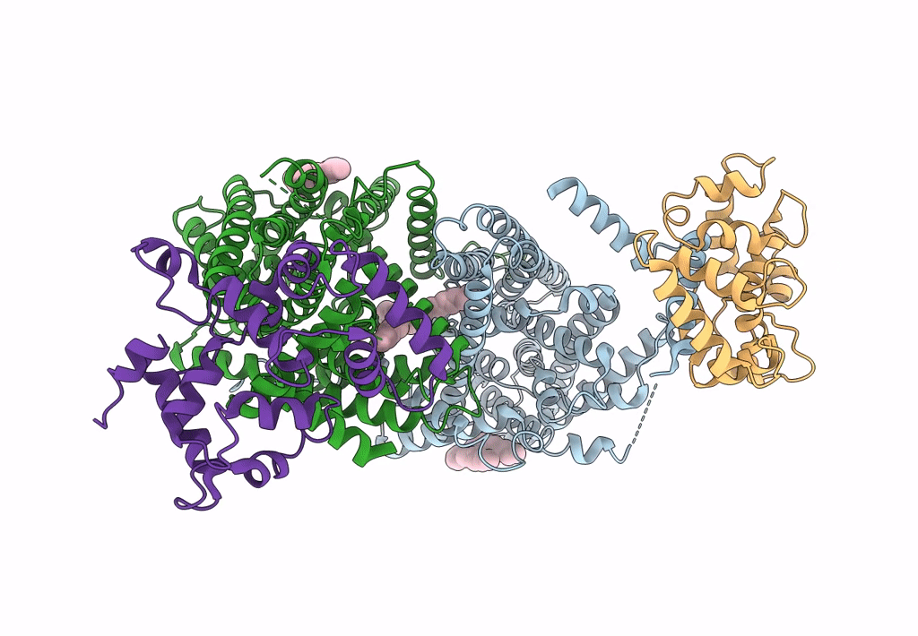 7DSV image