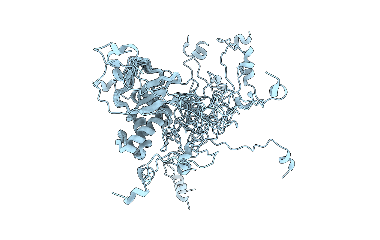 7DTH image