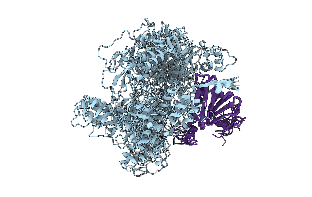 7DTI image
