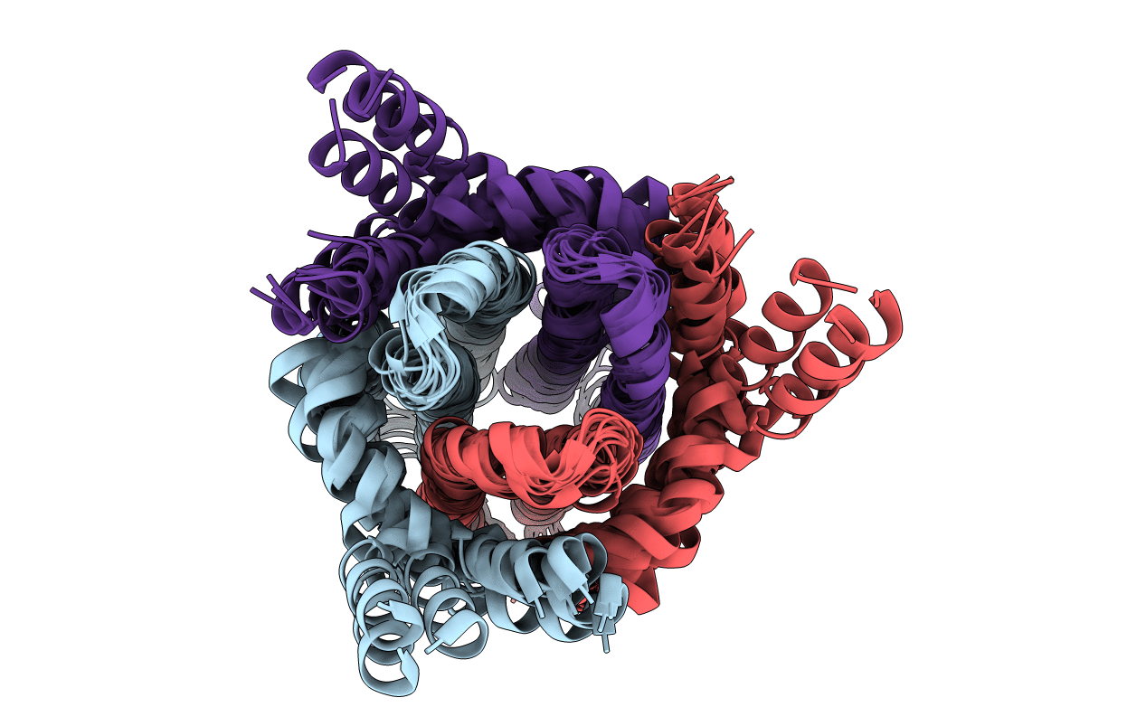 7DVM image