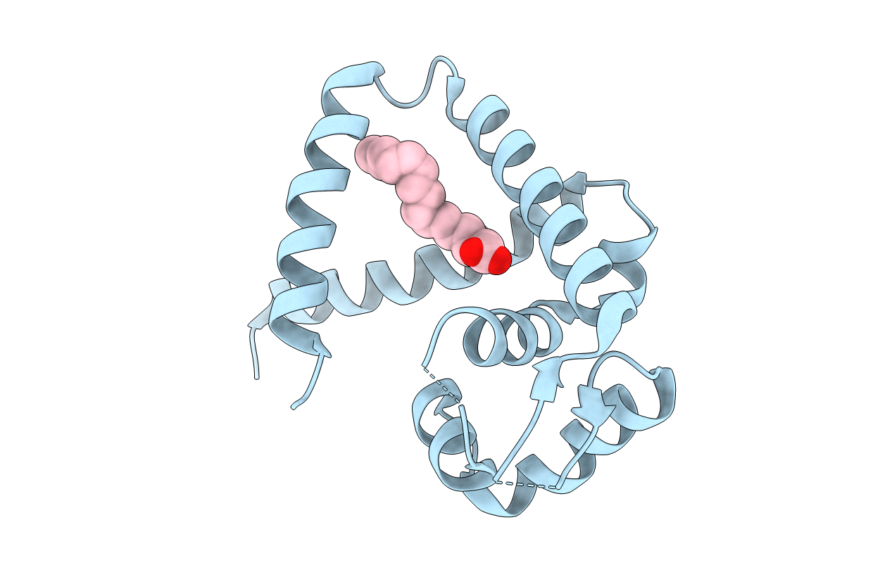 7DVN image