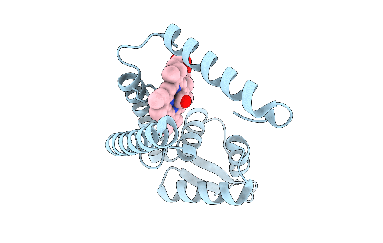 7DVT image