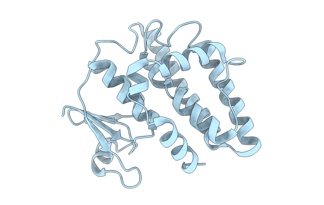 7DWD image