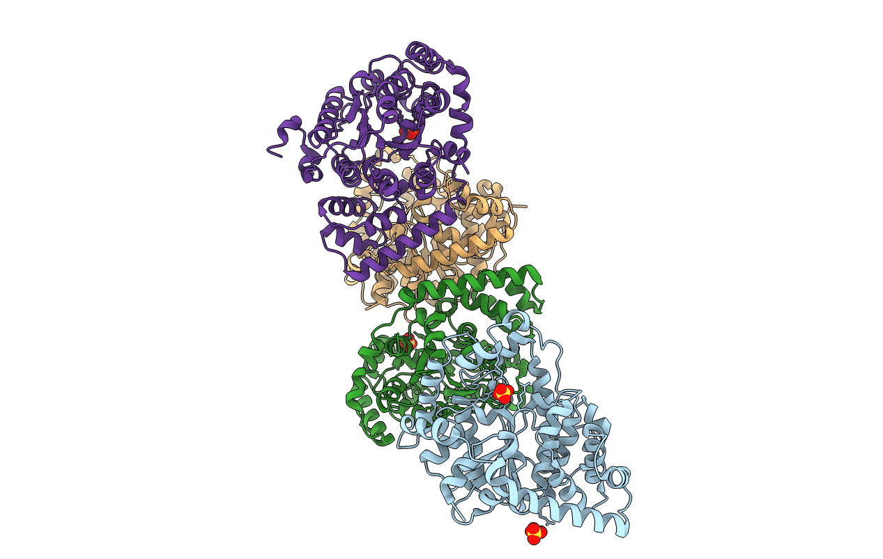 7DXM image