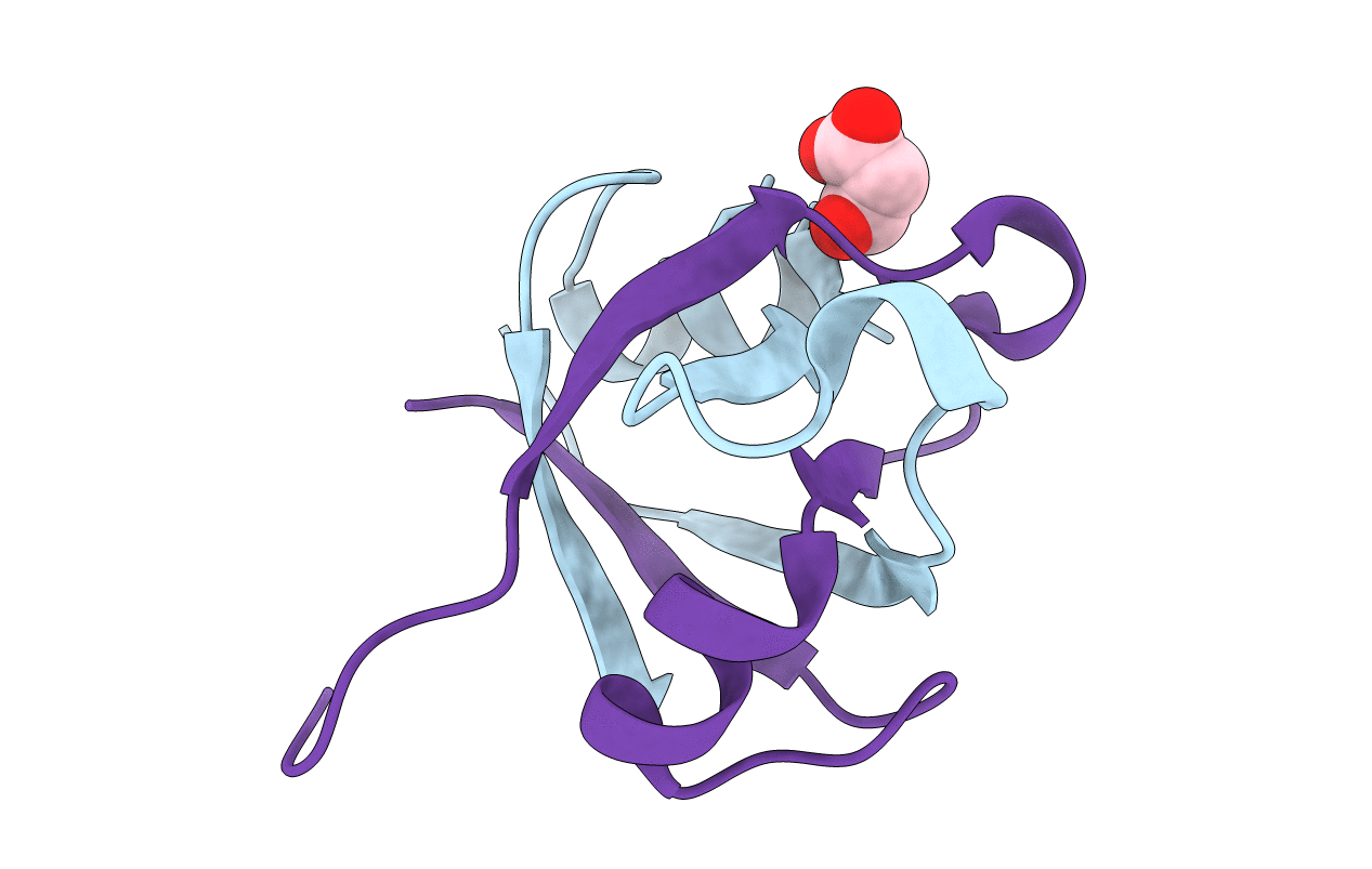 7DXX image