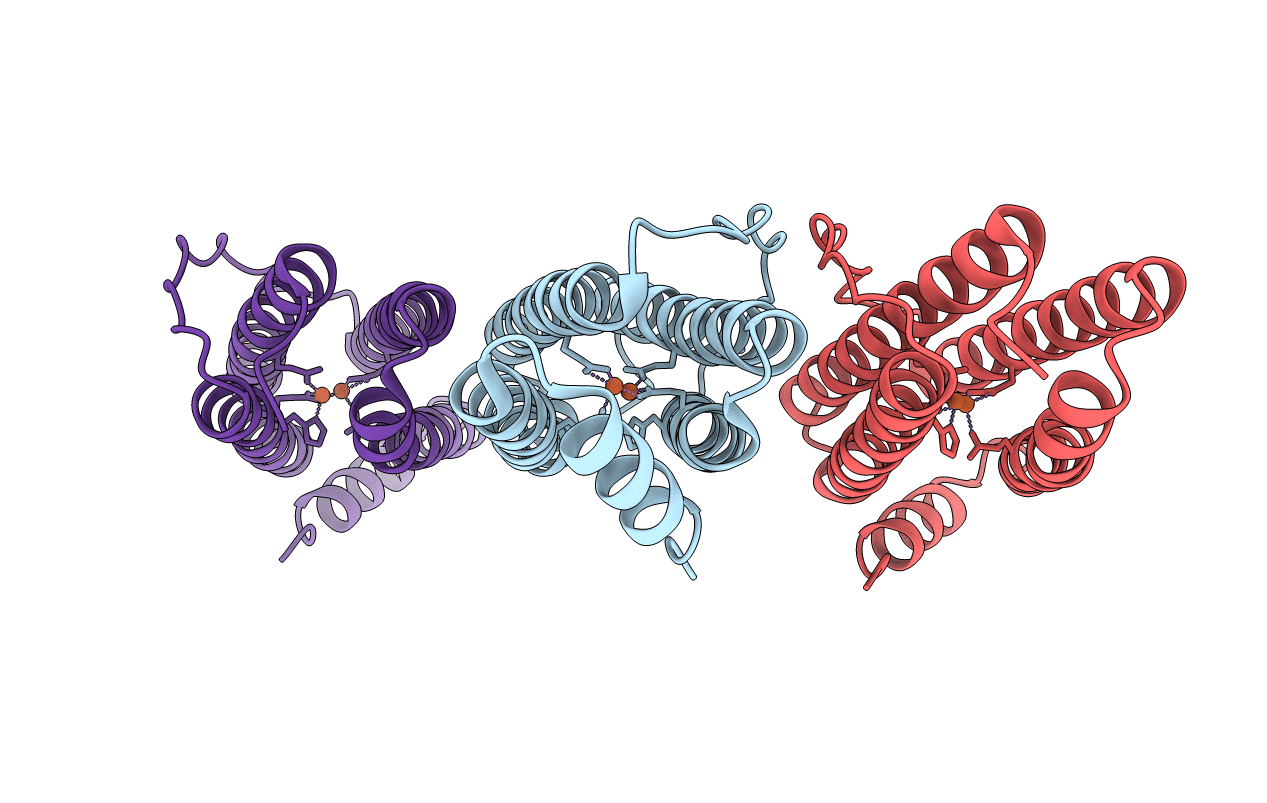 7DYB image