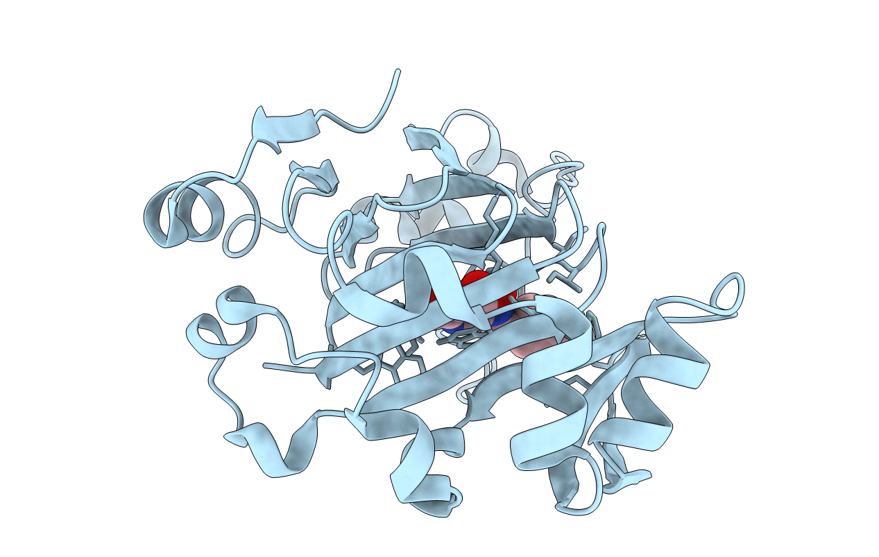 7DYV image