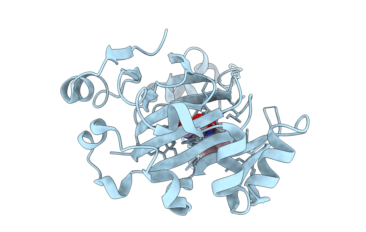 7DYX image