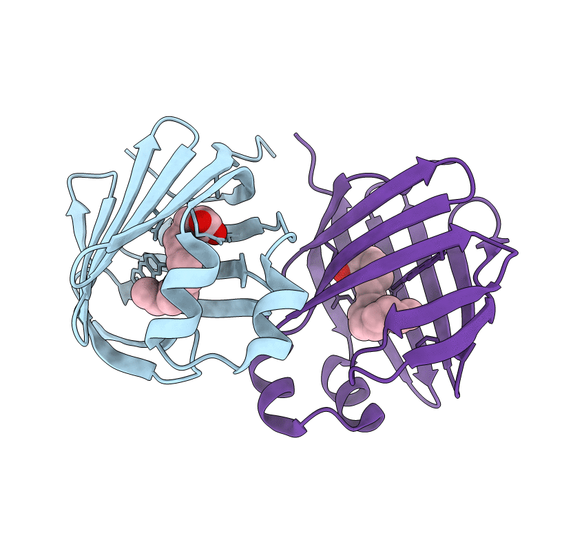 7DZI image
