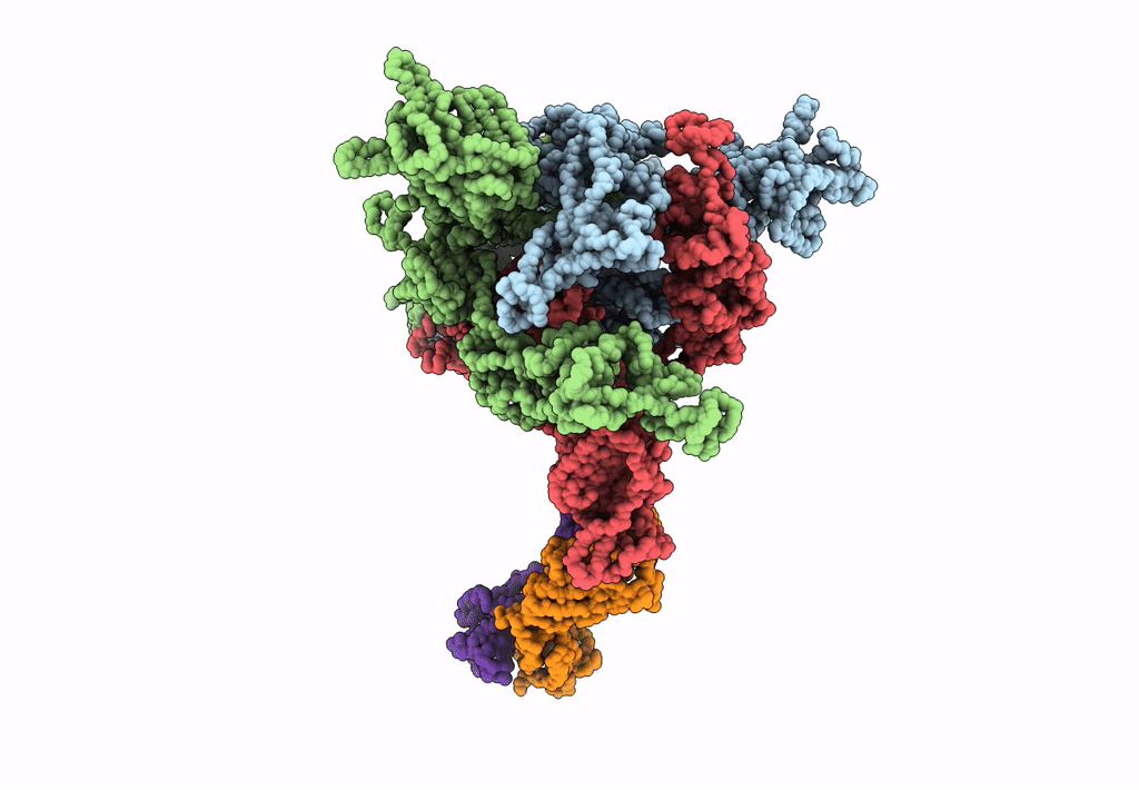 7DZX image
