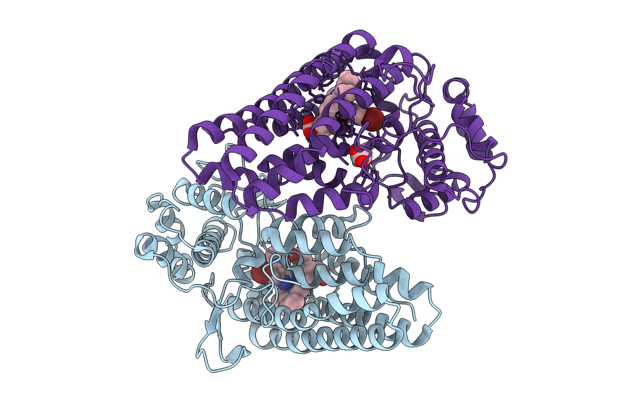 7E0P image