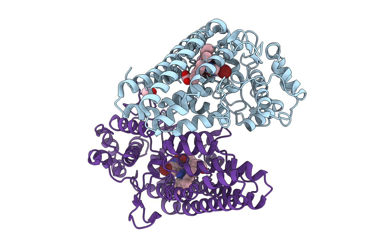 7E0S image