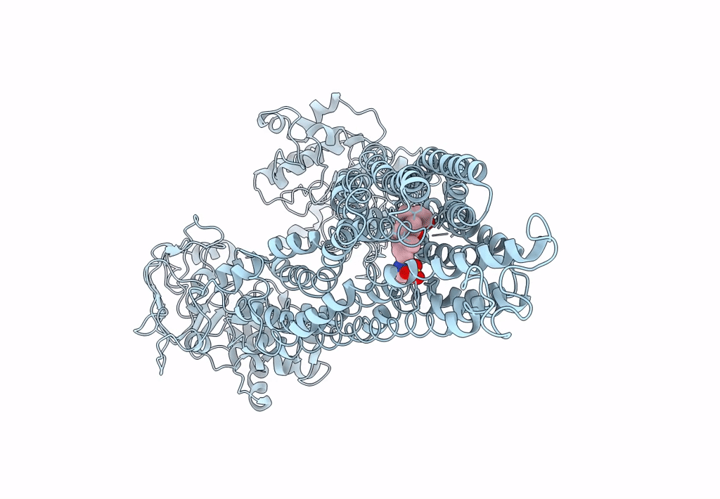 7E1A image