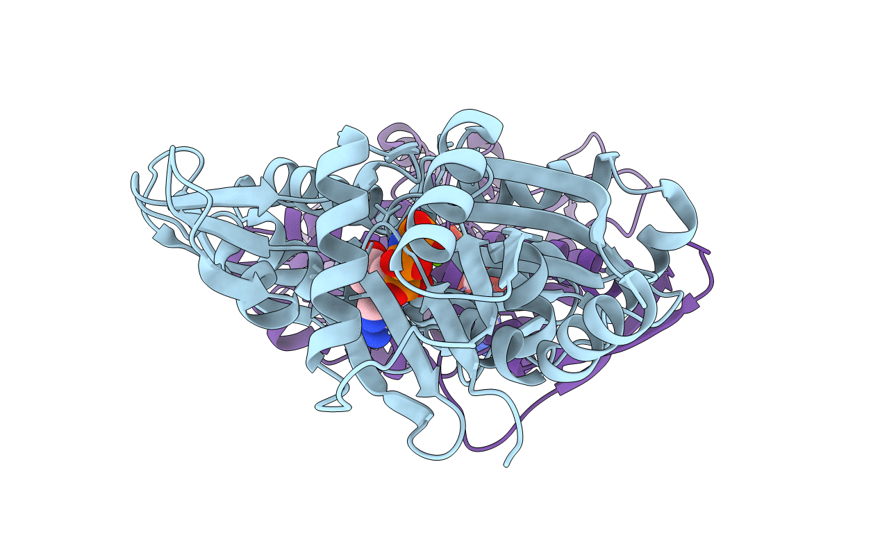7E1G image